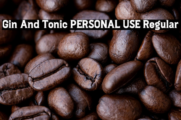 Gin And Tonic PERSONAL USE Regular Example 2