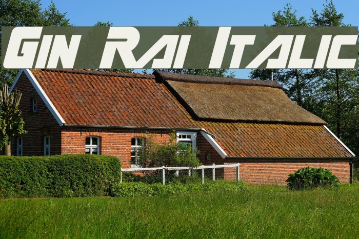 Gin Rai Italic Font examples