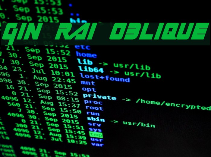 Gin Rai Oblique Font examples