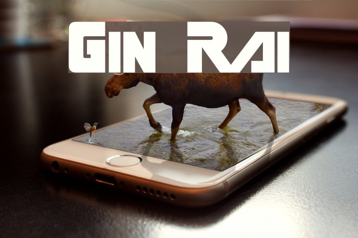 Gin Rai Font examples