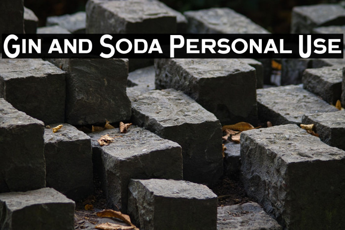 Gin and Soda Personal Use Example 1