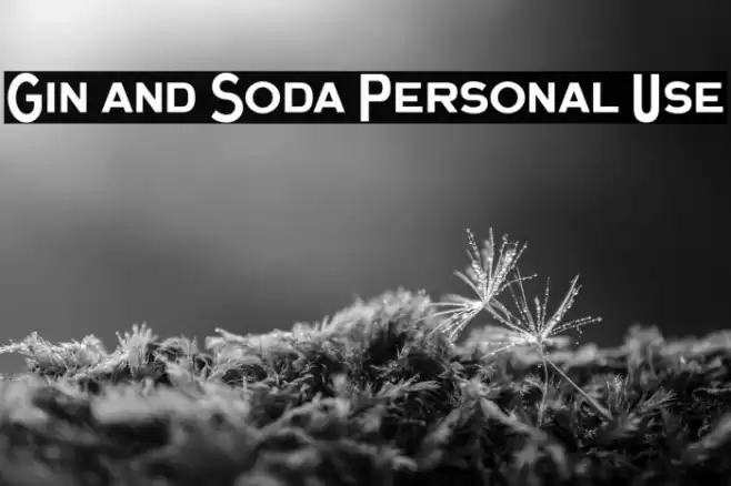 Gin and Soda Personal Use Шрифта examples