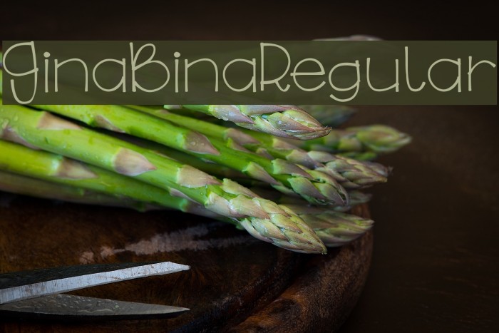 GinaBinaRegular Example 1