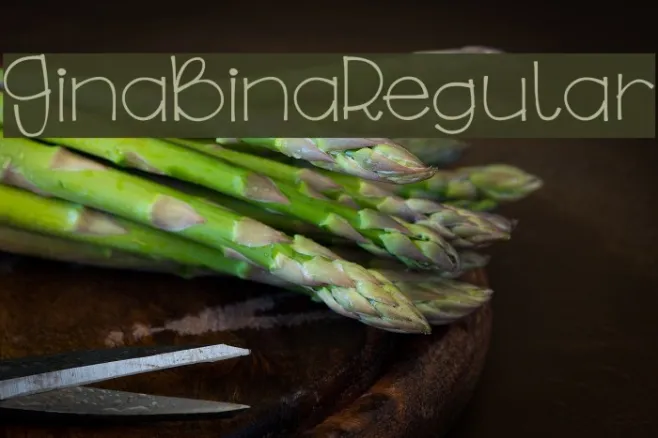 GinaBinaRegular Example 1