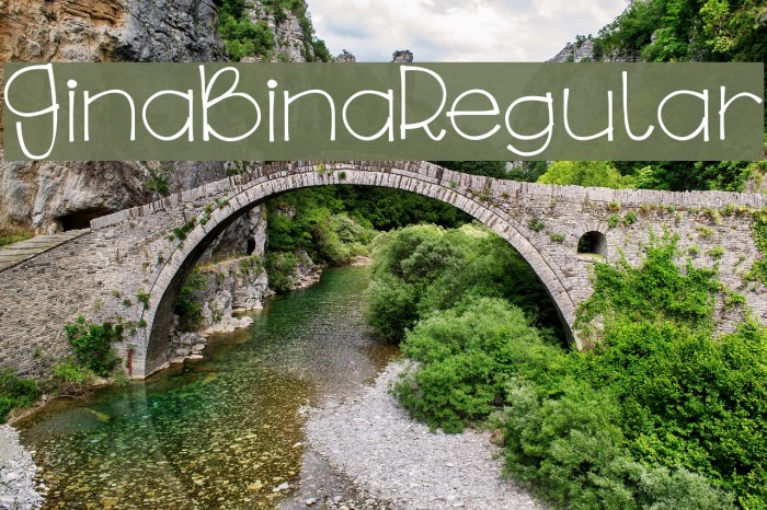 GinaBinaRegular Example 3