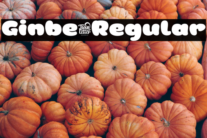 Ginbe-Regular Example 1