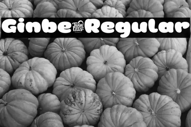 Ginbe-Regular Font examples