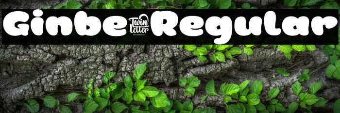 Ginbe-Regular Example 2