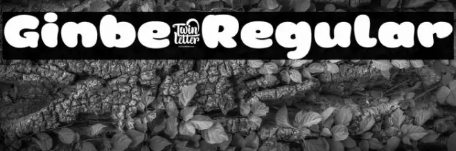 Ginbe-Regular Font examples
