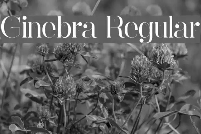 Ginebra Regular Font examples