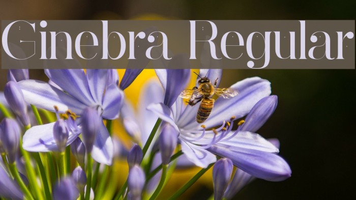 Ginebra Regular Font examples