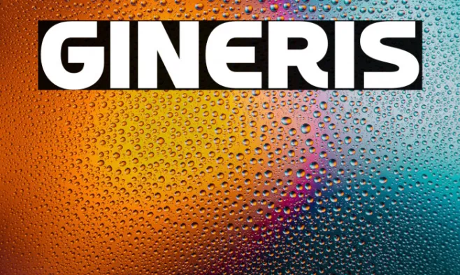 Gineris Example 2