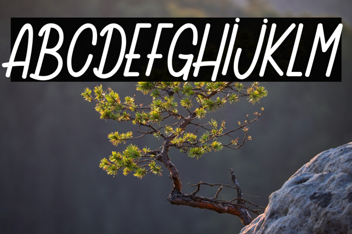 Ginette 1_PersonalUseOnly Example 2