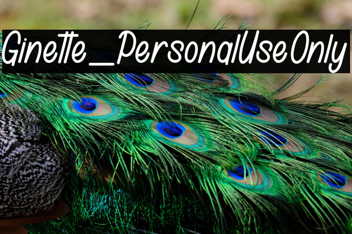 Ginette_PersonalUseOnly Example 1
