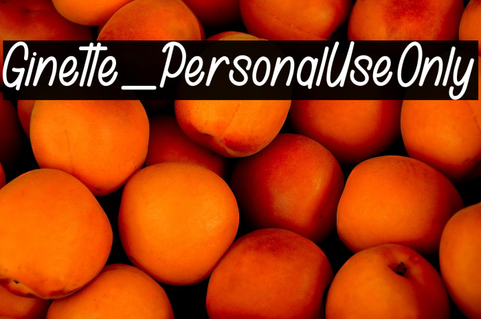 Ginette_PersonalUseOnly Example 3