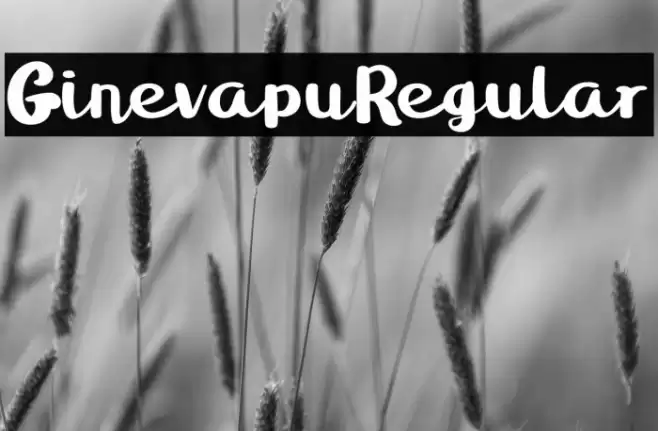 GinevapuRegular Font examples
