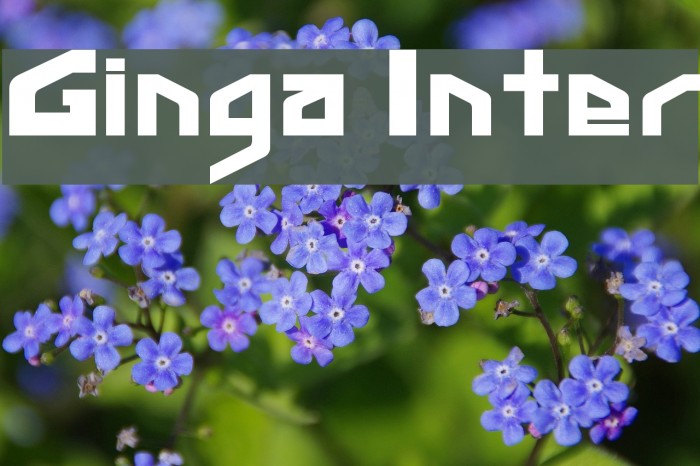 Ginga Inter Font examples