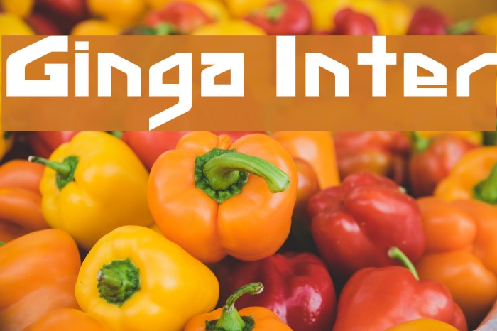 Ginga Inter Font examples