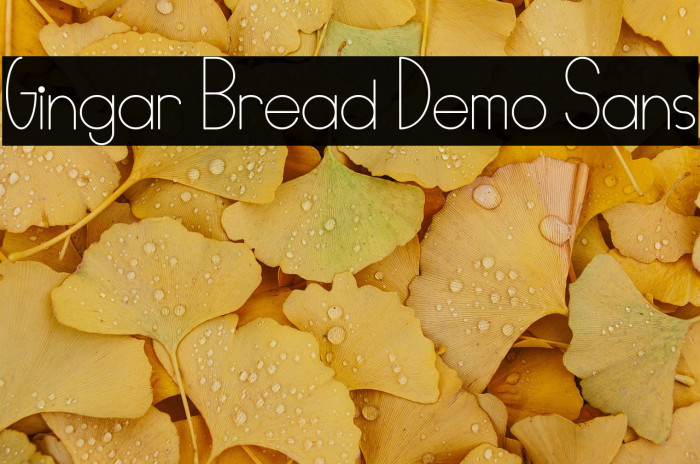 Gingar Bread Demo Sans Example 2