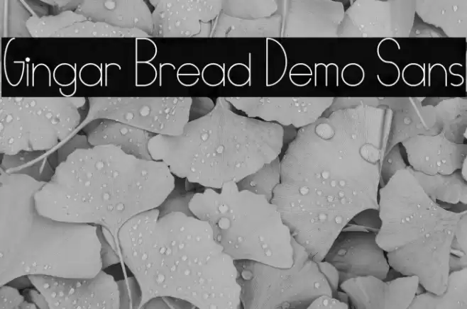 Gingar Bread Demo Sans Font examples