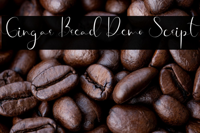 Gingar Bread Demo Script Example 2