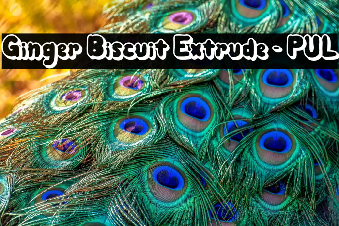 Ginger Biscuit Extrude - PUL Example 1