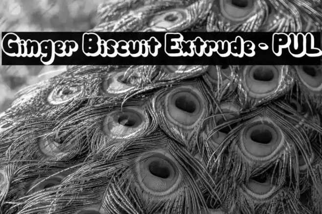 Ginger Biscuit Extrude - PUL Font examples