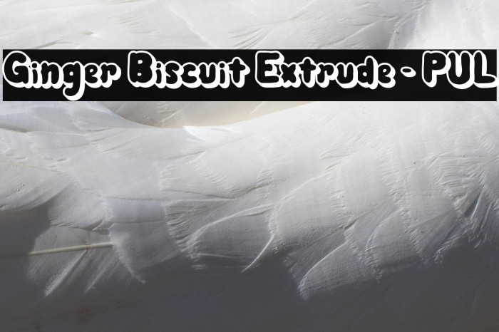 Ginger Biscuit Extrude - PUL Example 2