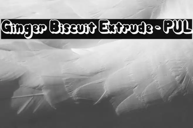 Ginger Biscuit Extrude - PUL Font examples