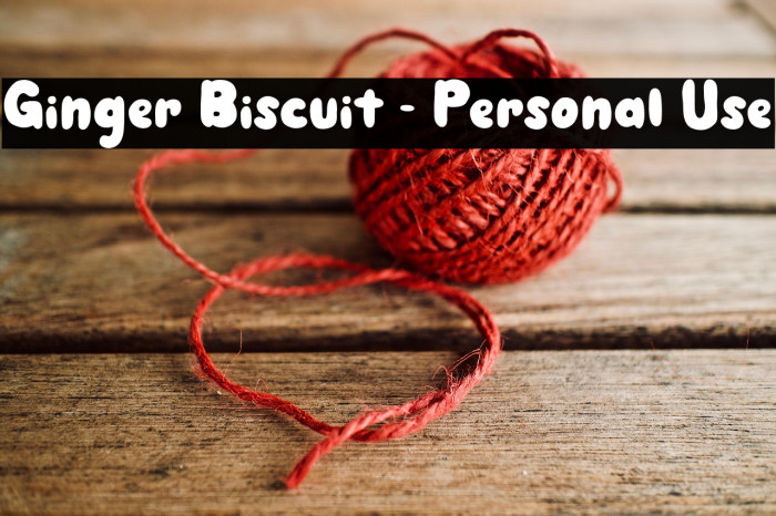 Ginger Biscuit - Personal Use Example 1