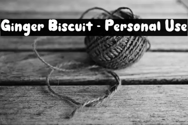 Ginger Biscuit - Personal Use Font examples