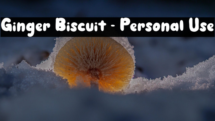 Ginger Biscuit - Personal Use Example 2