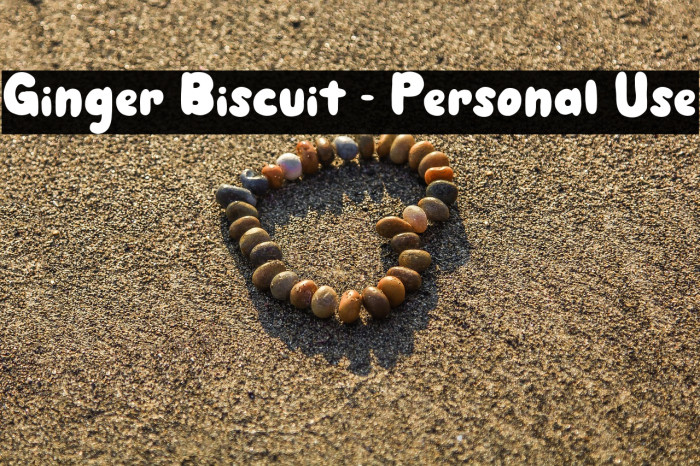 Ginger Biscuit - Personal Use Example 3