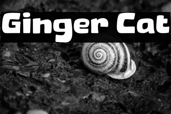 Ginger Cat خط examples