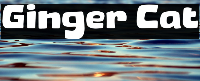 Ginger Cat Example 2