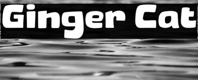 Ginger Cat خط examples