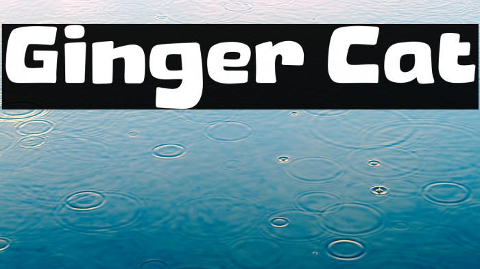 Ginger Cat Example 3