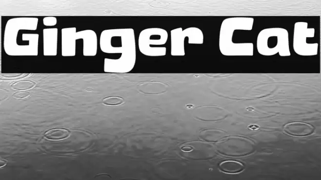 Ginger Cat خط examples