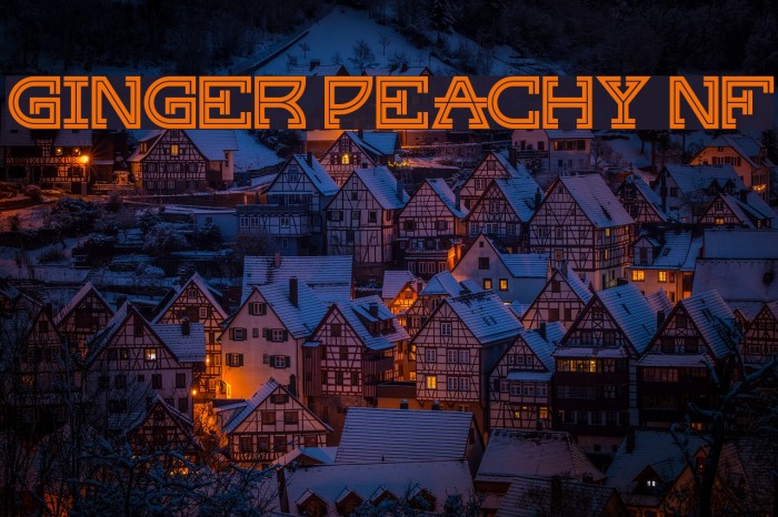 Ginger Peachy NF Font examples