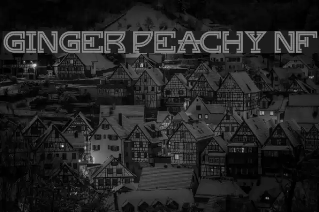 Ginger Peachy NF Font examples