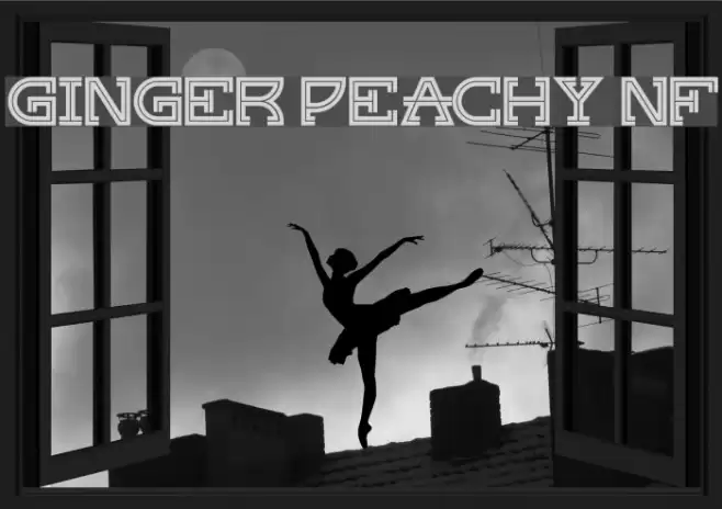 Ginger Peachy NF Font examples