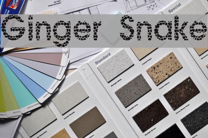 Ginger Snake Font examples