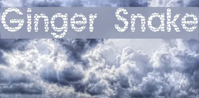 Ginger Snake Example 2