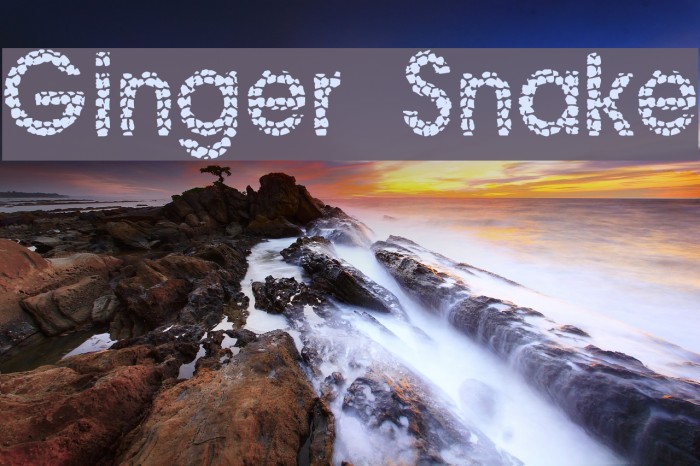 Ginger Snake Font examples