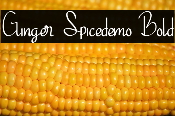 Ginger Spicedemo Bold Example 1