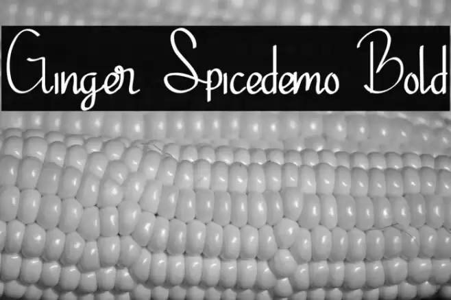 Ginger Spicedemo Bold Font examples