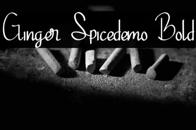 Ginger Spicedemo Bold Font examples