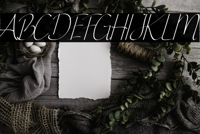 Ginger Spicedemo Italic Example 1