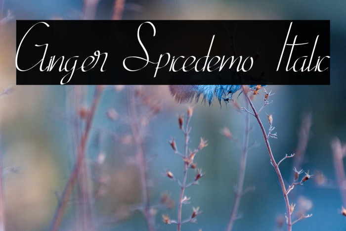 Ginger Spicedemo Italic Example 1