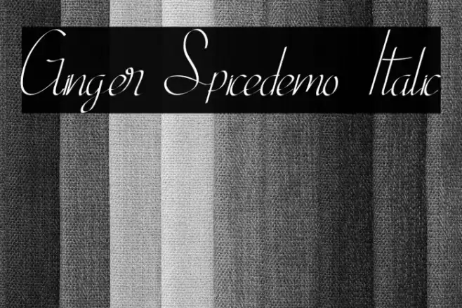 Ginger Spicedemo Italic Font examples